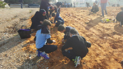 طلاب حسن عرفة يشاركون في رعاية وتأهيل موقع طبيعي على شاطئ بحر يافا 